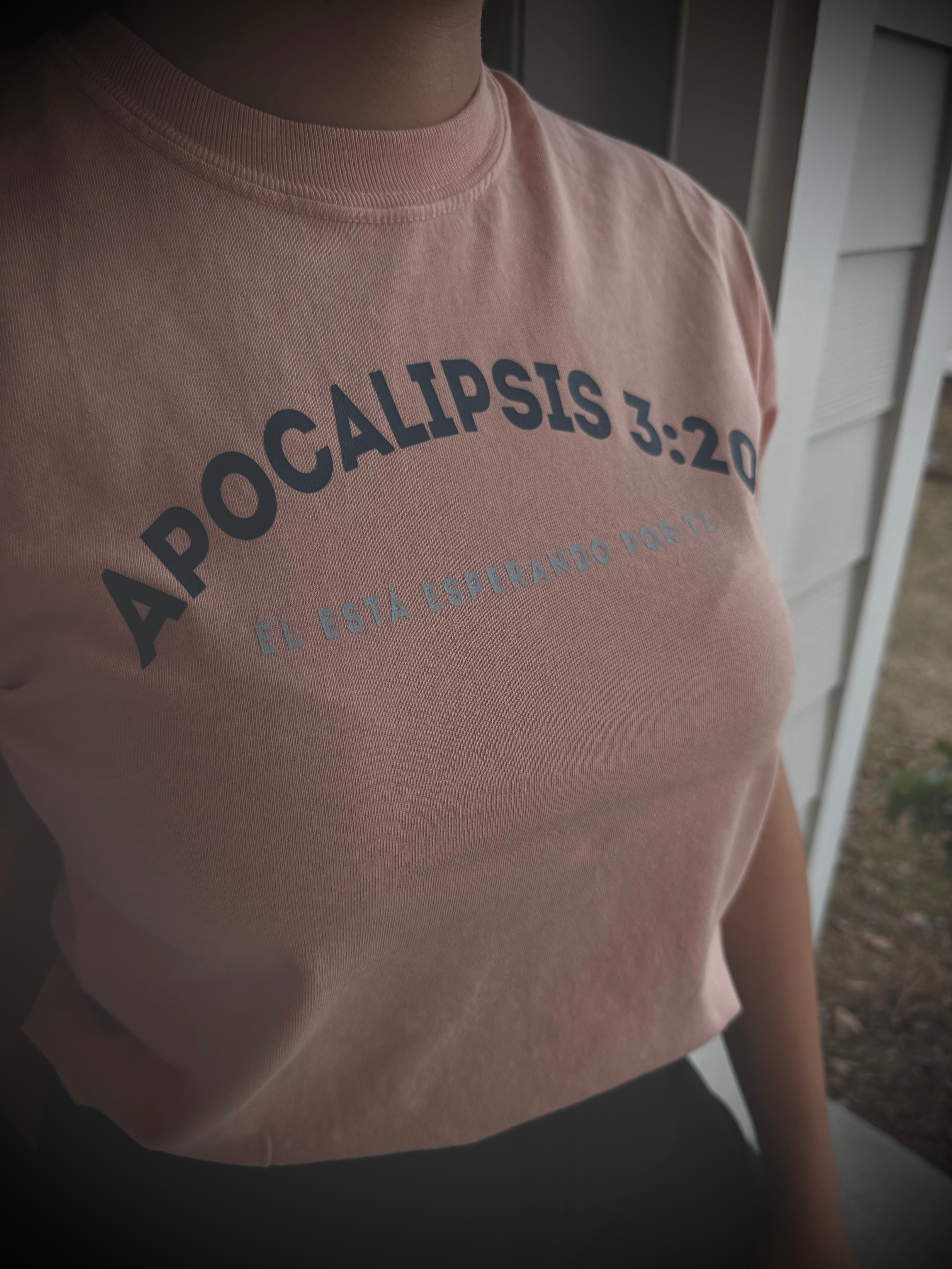 REVELATION 3:20 CROP TOP